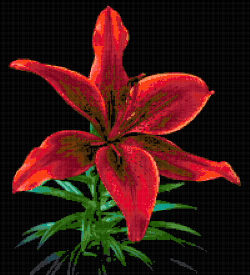 red lily on black cross stitch image